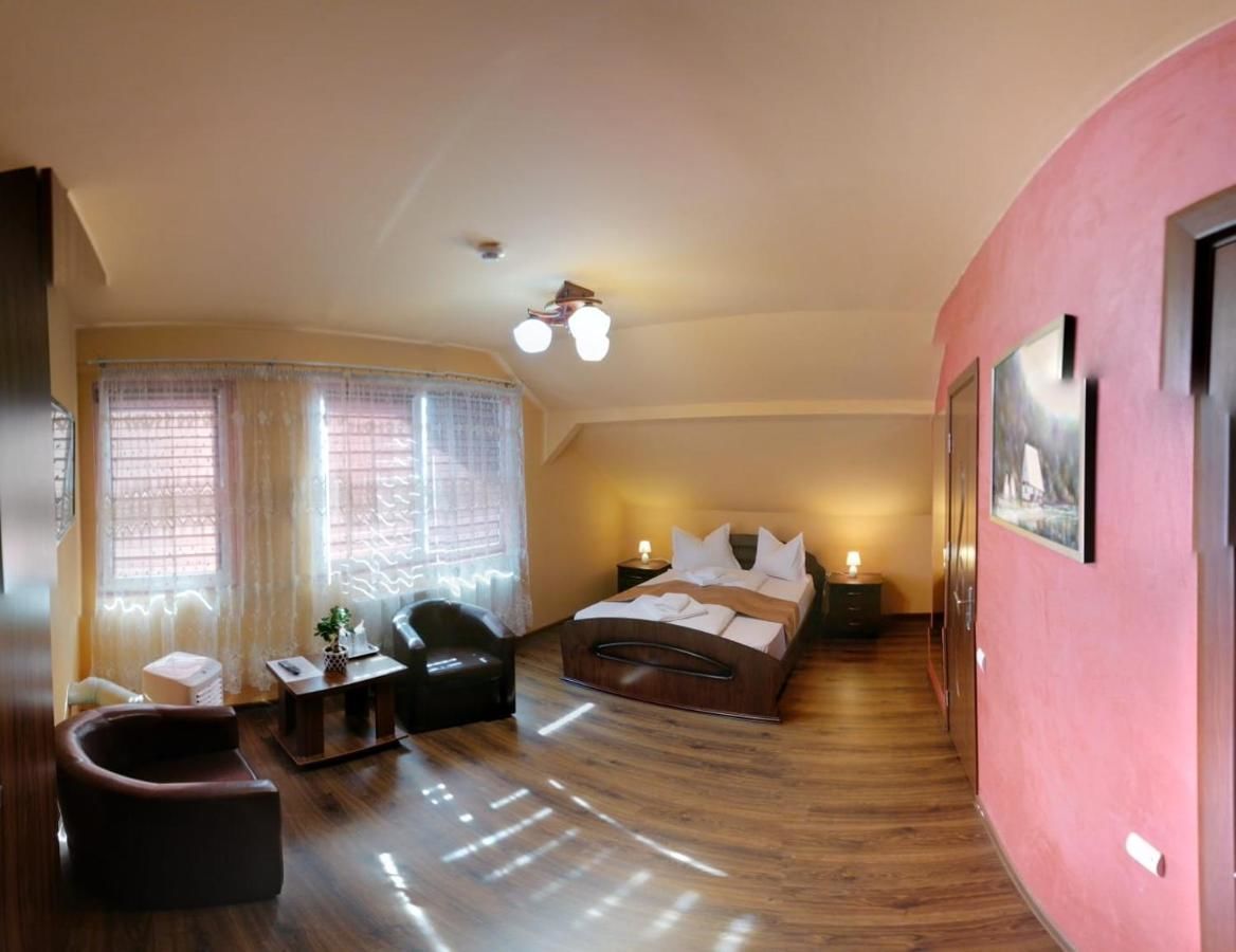 Гостевой дом Pensiunea Muresul 3* Тыргу-Муреш-4