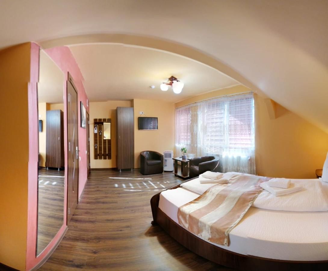 Гостевой дом Pensiunea Muresul 3* Тыргу-Муреш-17